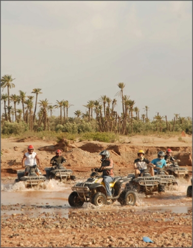 Marrakech Activities with Terra Nomadic Travels
