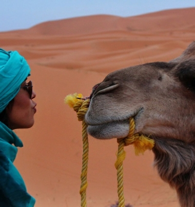 Morocco 4 Travels - Terra Nomadic Travels